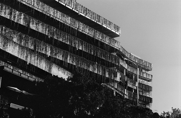 17 Andrés Mazariegos - Ilford XP2 400 por Arca Film Lab (Diciembre 2024) - Rollo 0536