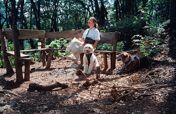 11 Rodrigo Lorenz - Kodak Ultramax 400 por Arca Film Lab (Julio 2024) - Rollo 0141