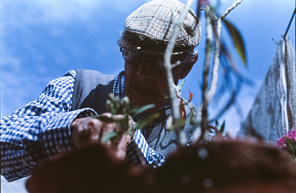 06 Julio Letrán - Fujifilm Provia 100F por Arca Film Lab (Julio 2024) - Rollo 0154