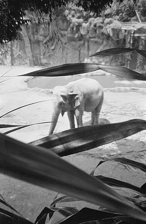 19 Carmen Tórres - Ilford HP5+ 400 por Arca Film Lab (Septiembre 2024) - Rollo 0334