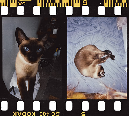 00009 Isa Valladares - Kodak Ultramax 400 - Arca Film Lab (Noviembre 2024) - Rollo 0432