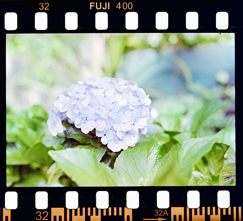 33 Erick Sandoval - Fujifilm 400 por Arca Film Lab (Septiembre 2024) - Rollo 0353