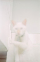 07 Abraham Castillo - Fujifilm 400 por Arca Film Lab (Junio 2025) - Rollo 1118
