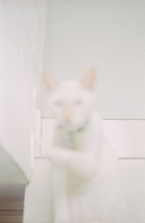 07 Abraham Castillo - Fujifilm 400 por Arca Film Lab (Junio 2025) - Rollo 1118