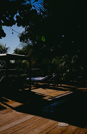 37 David Santiago - Kodak Gold 200 por Arca Film Lab (Enero 2025) - Rollo 0702