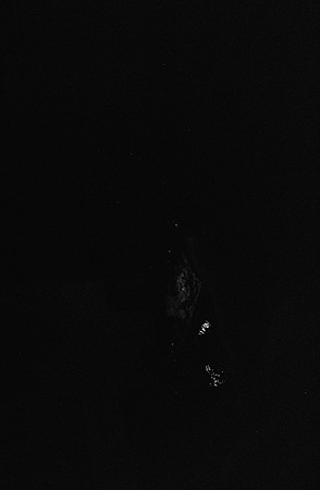 10 Andrés Mazariegos - Ilford XP2 400 por Arca Film Lab (Diciembre 2024) - Rollo 0536