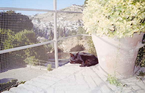 21 Natalia Mendoza - Kodak Gold 200 por Arca Film Lab (Noviembre 2024) - Rollo 0491
