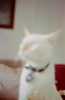 13 Abraham Castillo - Fujifilm 400 por Arca Film Lab (Junio 2025) - Rollo 1118