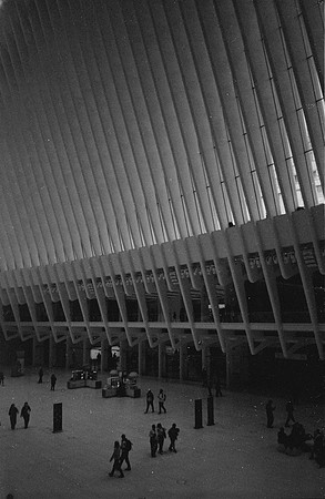 26 Desirée Argueta - Fujifilm Acros 100 por Arca Film Lab (Enero 2025) - Rollo 0571