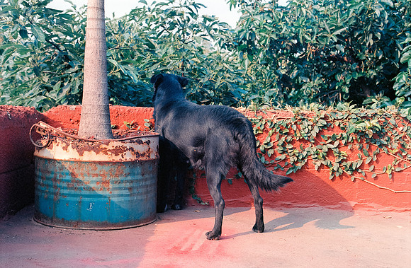13 Francisco Chang - Kodak Ektar 100 por Arca Film Lab (Junio 2024) - Rollo 0127