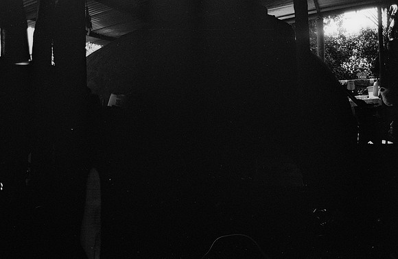 35 Guilia Trobbiani - Fomapan 100 por Arca Film Lab (Abril 2025) - Rollo 0933