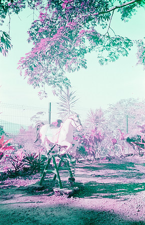 23 Natalia Mendoza - Lomography Purple por Arca Film Lab (Mayo 2025) - Rollo 1019
