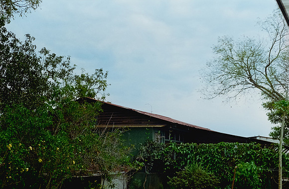 12 Alexander Daum - Kodak Ultramax 400 por Arca Film Lab (Enero 2025) - Rollo 0632