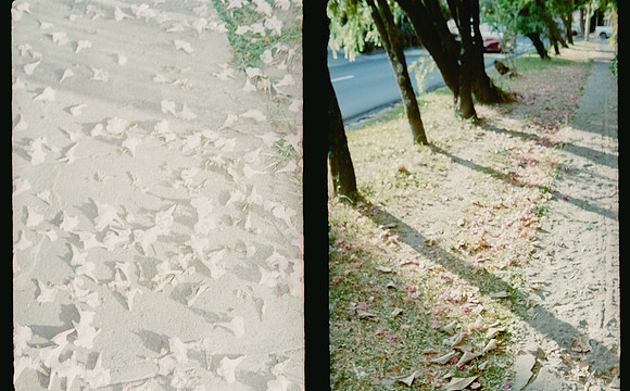 08 Natalia Mendoza - Kodak Gold 200 por Arca Film Lab (Abril 2025) - Rollo 0931