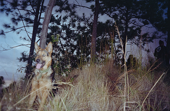 11 Javier Díaz - Kodak Gold 200 por Arca Film Lab (Febrero 2025) - Rollo 0722