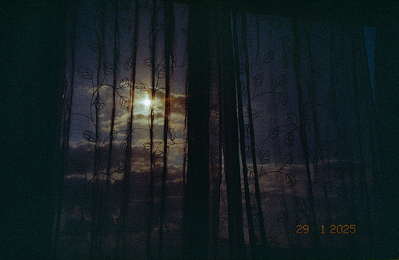 26 Mia Yun - Lomography 400 por Arca Film Lab (Febrero 2025) - Rollo 0740