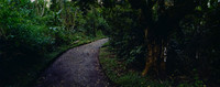 12 José Cabezas - Kodak Gold 200 por Arca Film Lab (Abril 2025) - Rollo 0922
