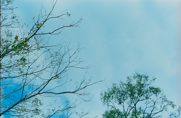 05 Alexander Daum - Kodak Ultramax 400 por Arca Film Lab (Enero 2025) - Rollo 0632