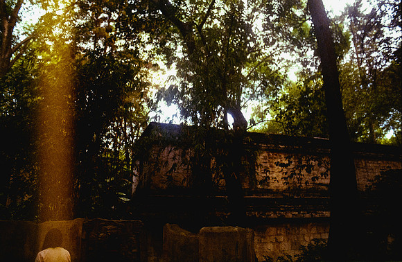 02 José Vásquez - Fujifilm 200 por Arca Film Lab (Enero 2025) - Rollo 0670