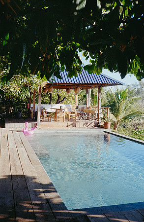 34 David Santiago - Kodak Gold 200 por Arca Film Lab (Enero 2025) - Rollo 0702