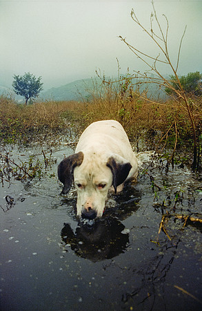 15 Ronald Ottoniel - Cinestill 800T por Arca Film Lab (Enero 2025) - Rollo 0616