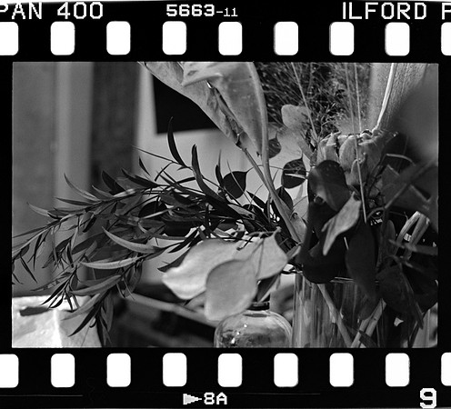 03 José Paulo Pérez - Ilford Pan 400 Film Lab (Agosto 2024) - Rollo 0285