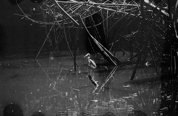 13 Guilia Trobbiani - Fomapan 100 por Arca Film Lab (Abril 2025) - Rollo 0933
