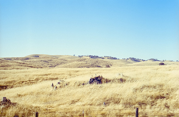 15 Rafael Ortíz - Fujifilm 400 por Arca Film Lab (Diciembre 2024) - Rollo 0520