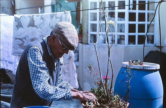 21 Julio Letrán - Fujifilm Provia 100F por Arca Film Lab (Julio 2024) - Rollo 0154