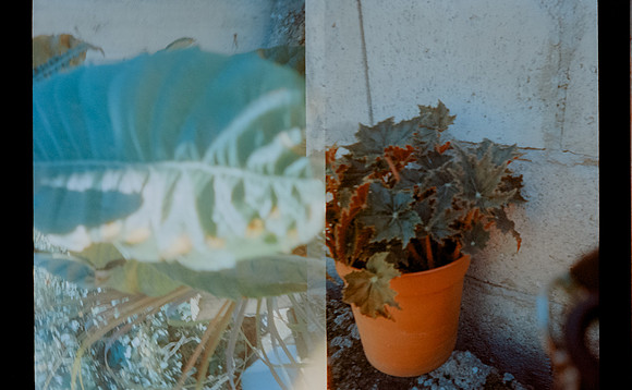 41 David Rosales - Cinestill 800T por Arca Film Lab (Agosto 2024) - Rollo 0293