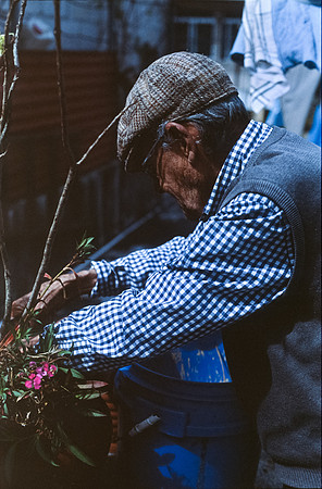 13 Julio Letrán - Fujifilm Provia 100F por Arca Film Lab (Julio 2024) - Rollo 0154