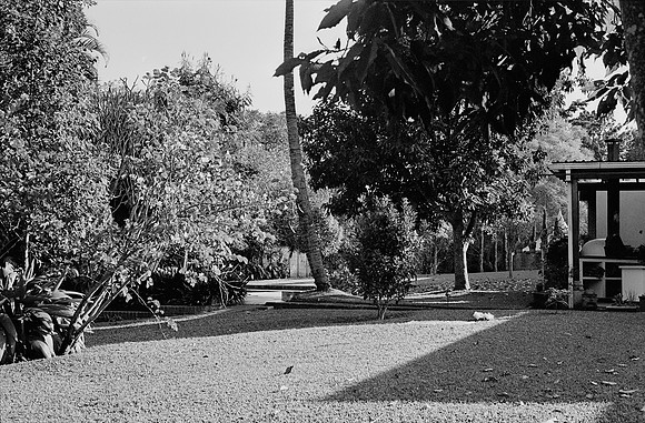 14 Alexander Daum - Ilford XP2 400 por Arca Film Lab (Enero 2025) - Rollo 0633