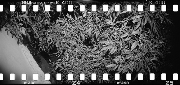 11 Mauricio Salguero - Kentmere Pan 400 por Arca Film Lab (Junio 2025) - Rollo 1132