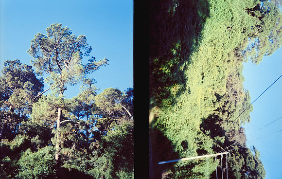 10 Mario Cattousse - Fujifilm 400 por Arca Film Lab (Septiembre 2024) - Rollo 0327