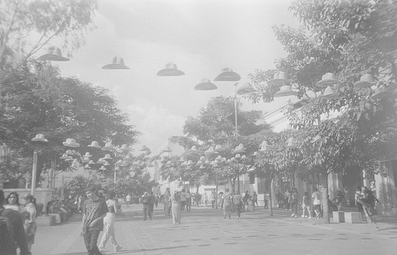 21 Adriana Ruano - Ilford HP5+ 400 por Arca Film Lab (Noviembre 2024) - Rollo 0488
