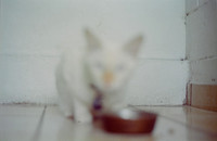 04 Abraham Castillo - Fujifilm 400 por Arca Film Lab (Junio 2025) - Rollo 1118