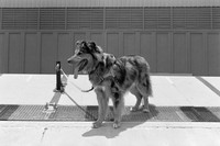 04 Omar Véliz - Kodak TMax 400 por Arca Film Lab (Mayo 2024) - Rollo 0059