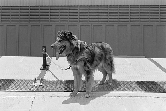 04 Omar Véliz - Kodak TMax 400 por Arca Film Lab (Mayo 2024) - Rollo 0059