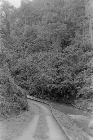 17 Pablo Josué Noack - Ilford HP5 Plus 400 por Arca Film Lab (Mayo 2024) - Rollo 0077