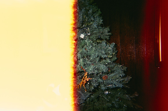 02 Esther Galeas - Cinestill 400D por Arca Film Lab (Enero 2025) - Rollo 0695