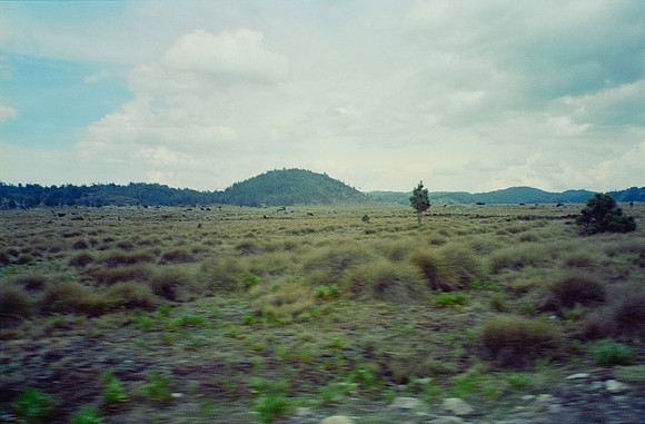 11 Ernesto Ábrego - Kodak Ultramax 400 por Arca Film Lab (Mayo 2025) - Rollo 1079
