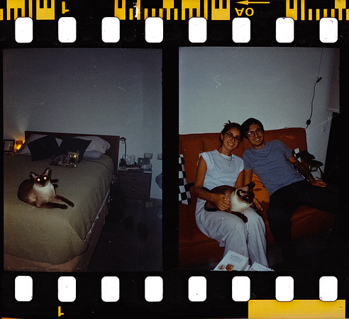 00004 Isa Valladares - Kodak Ultramax 400 - Arca Film Lab (Noviembre 2024) - Rollo 0431