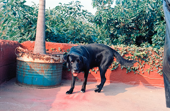 12 Francisco Chang - Kodak Ektar 100 por Arca Film Lab (Junio 2024) - Rollo 0127