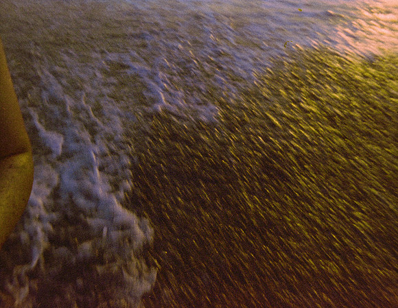 12 Jurgen Aldana - Kodak Gold 110 por Arca Film Lab (Febrero 2025) - Rollo 0707