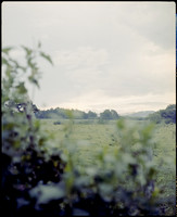 01 José Jiménez - Kodak Portra 400 por Arca Film Lab (Junio 2025) - Rollo 1111