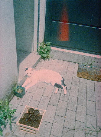 02 Sebastián Barillas - Kodak Ultramax 400 por Arca Film Lab (Febrero 2025) - Rollo 0784