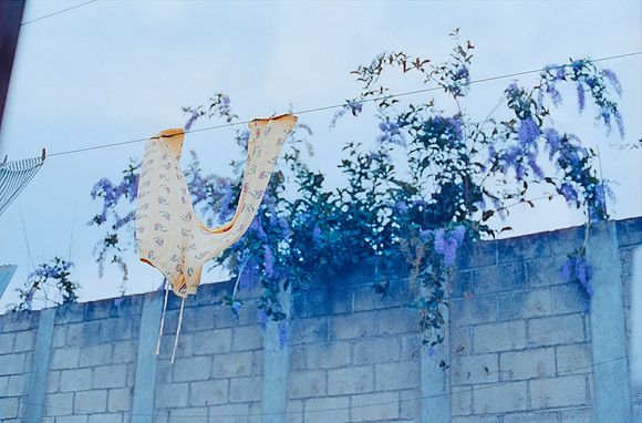 08 Elliot Morales - Cinestill 800T por Arca Film Lab (Abril 2025) - Rollo 0980