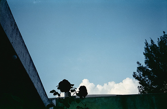 22 Erick Galindo - Fujifilm Superia X-TRA 400 por Arca Film Lab (Febrero 2025) - Rollo 0766