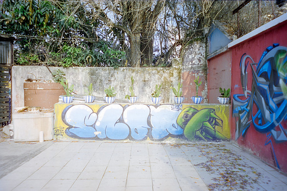 37 Lilargentique - Reflx Lab 400D por Arca Film Lab (Abril 2024)