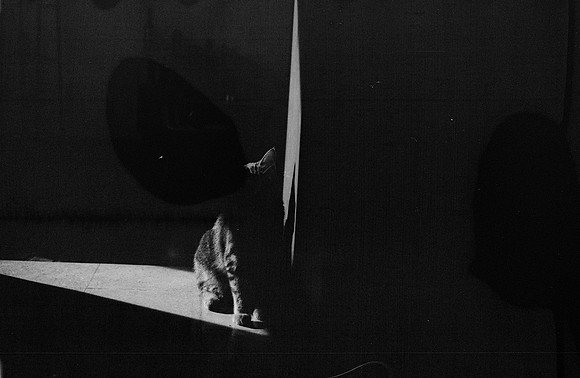 18 Guilia Trobbiani - Fomapan 100 por Arca Film Lab (Abril 2025) - Rollo 0933
